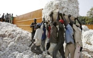 Coton Burkina