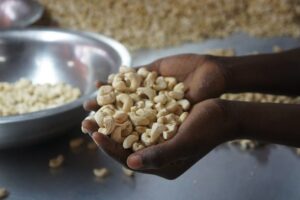 Burkina noix de cajou