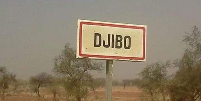 Djibo