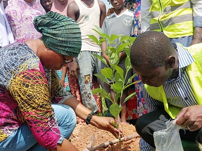 Mise en terre d'un plant à la Ceinture verte de Ouagadougou