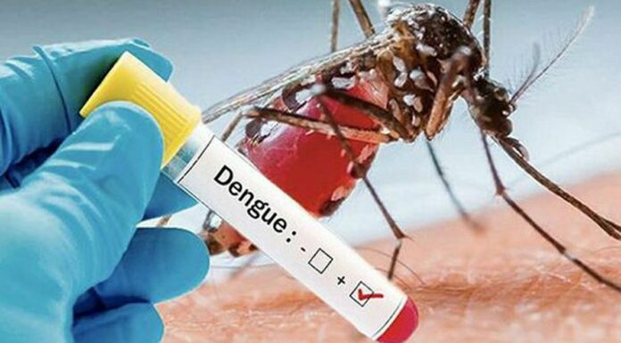 Épidémie dengue Daouda Ouédraogo