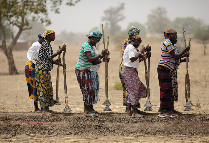 Burkina femmes sous-emploi