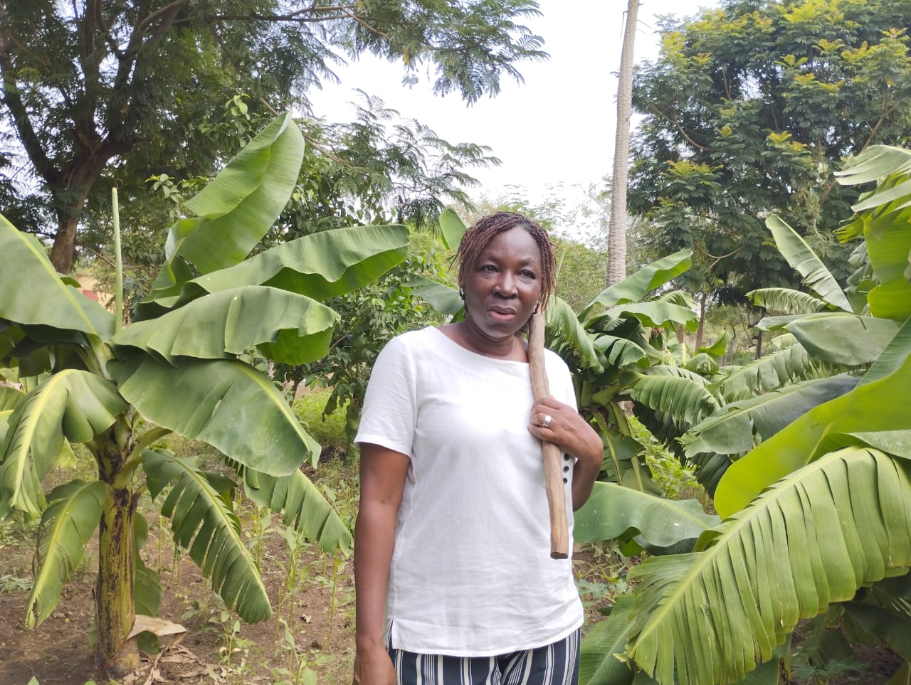 Blandine Sankara, coordonnatrice de Yelemani
