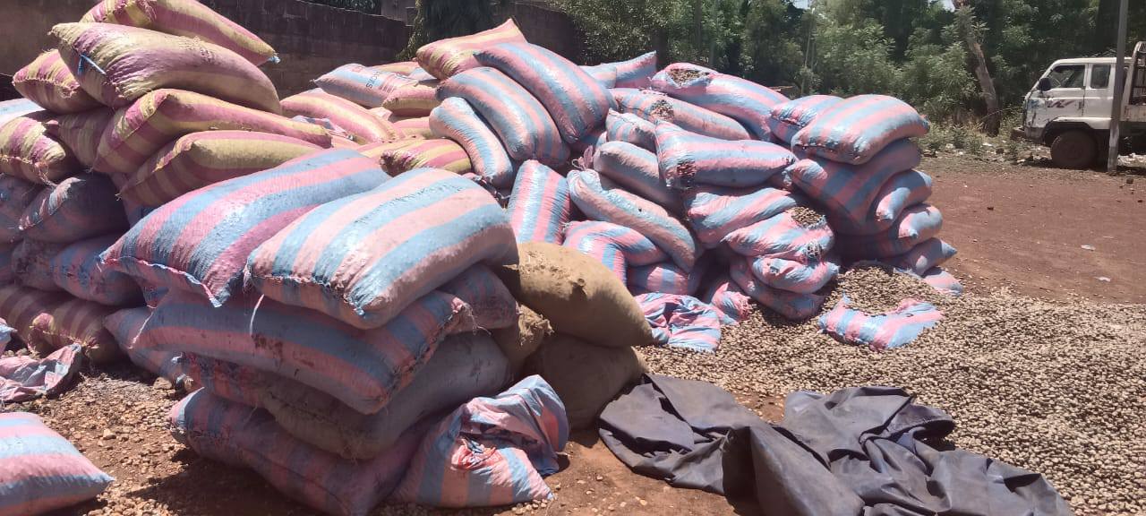 Burkina fraude cajou saisie