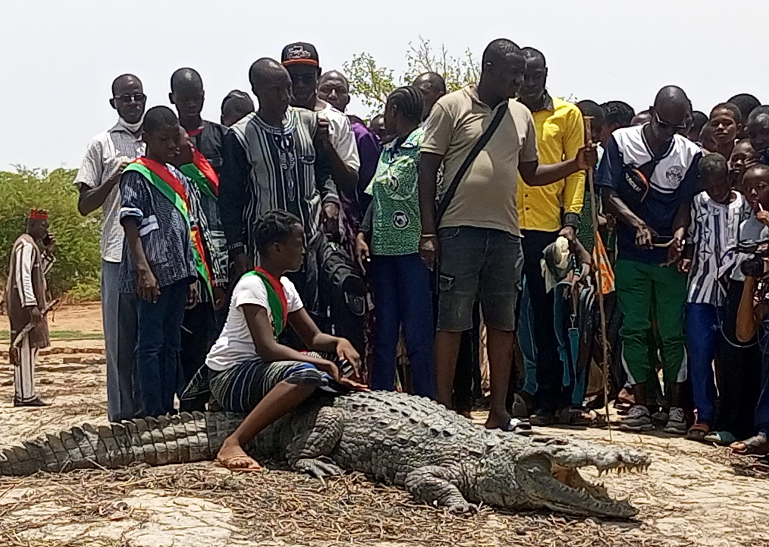 Immersion à la mare aux crocodiles sacrés de Bazoulé