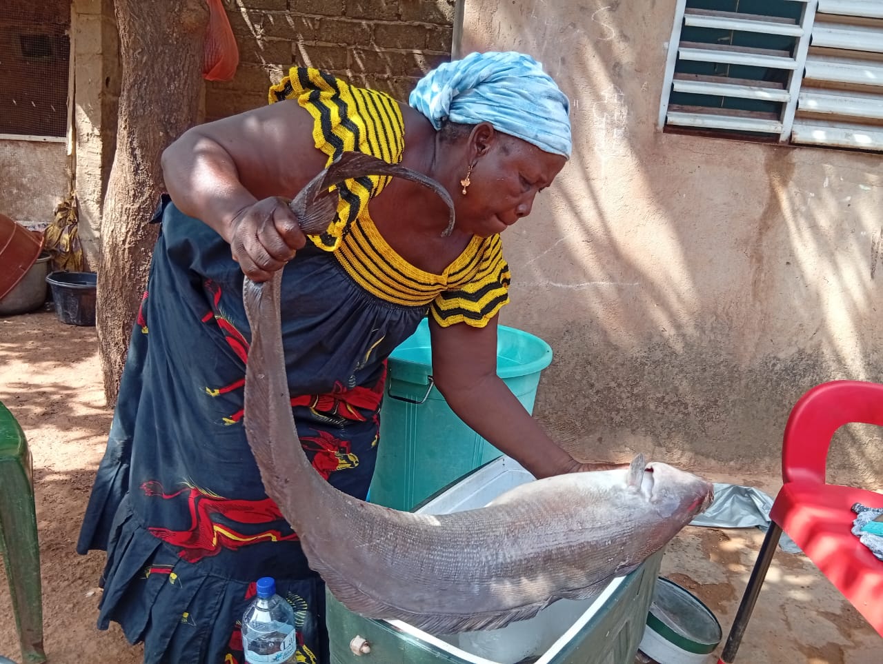 Vendeuse de poisson d'eau douce depuis 30 ans à Ouagadougou